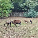 Guest house Le Petit Serrant - D'exception