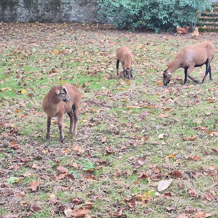 Le Petit Serrant - D'exception Bouchemaine