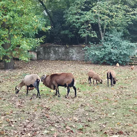 Gasthuis Le Petit Serrant - D'exception