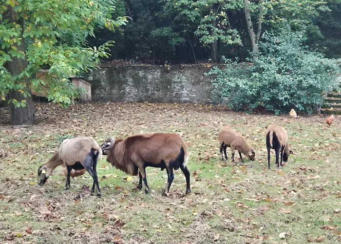 Maison d'hôtes Le Petit Serrant - D'exception